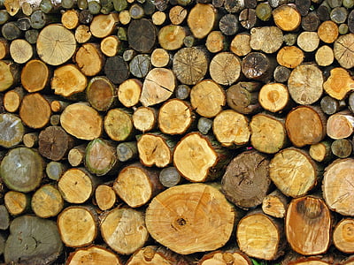 log, logs, pile, stack, wood, wooden, close-up