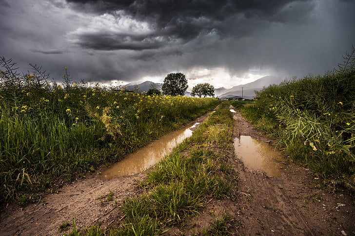 country road, dirt road, rural, countryside, clouds, field, landscape