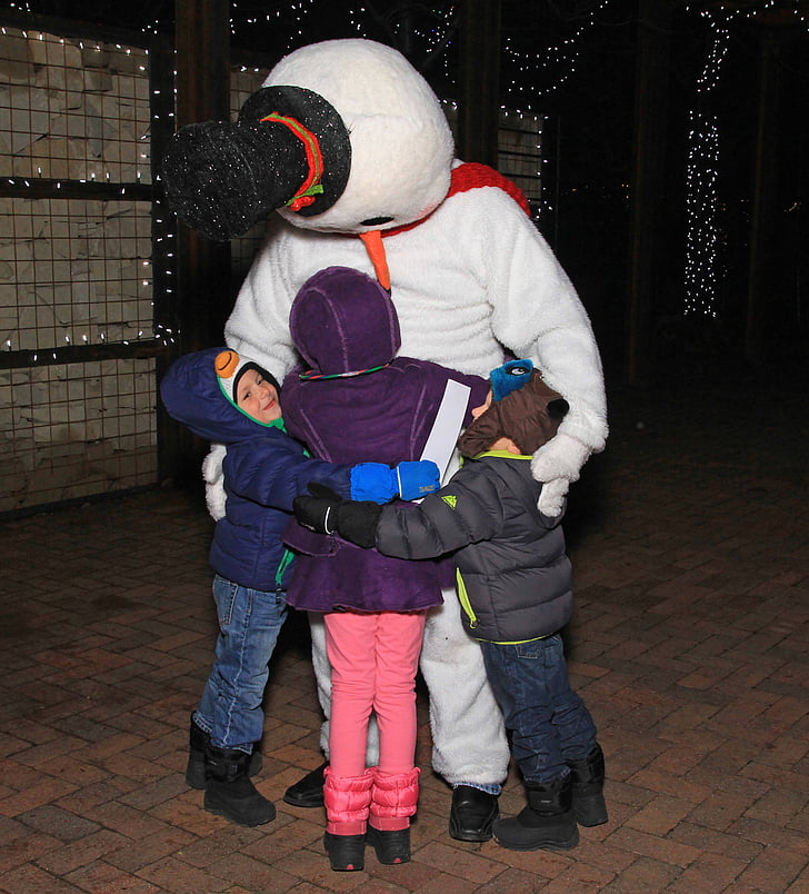 frosty, snowman, winter, costume, bundled, cold, carrot