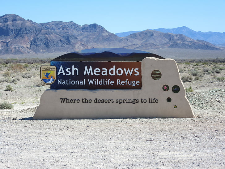 Ash weiden, dessert, dieren in het wild, Las vegas, Nevada, Verenigde Staten, berg