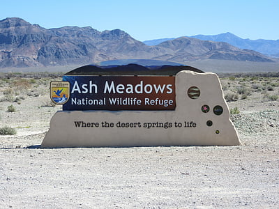 ash meadows, dessert, wildlife, las vegas, nevada, usa, mountain