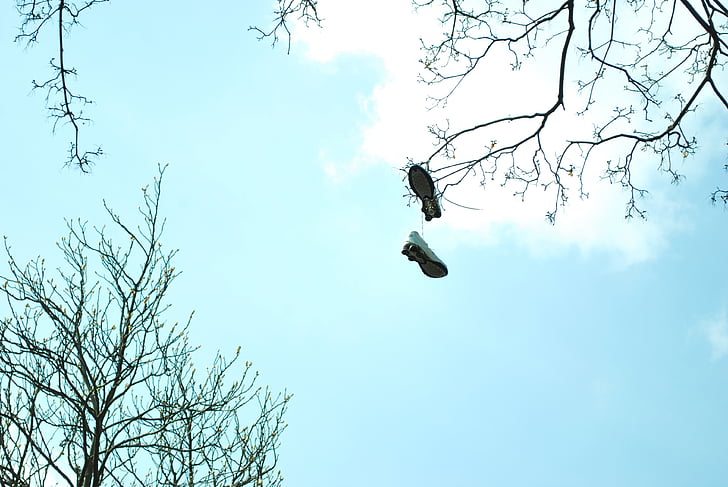 Sepatu bot, surga, pohon, langit, musim semi, awan, cabang