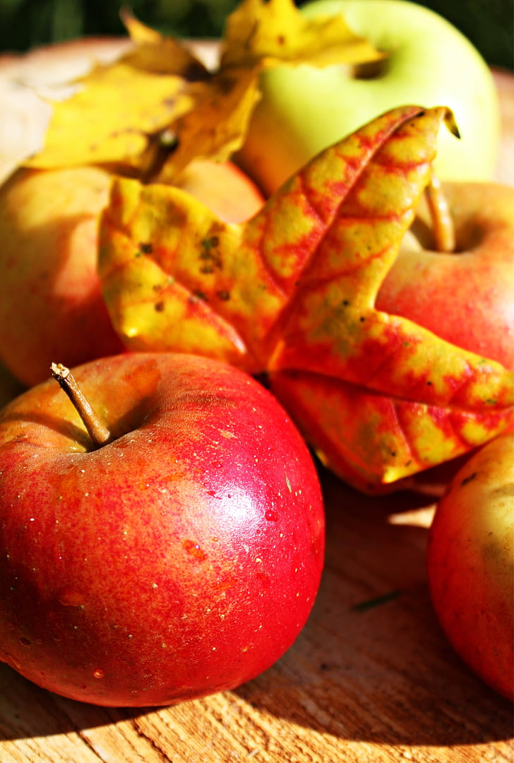 Apple, autunno, frutta, impressioni d'autunno, rosso, foglie, vendemmia