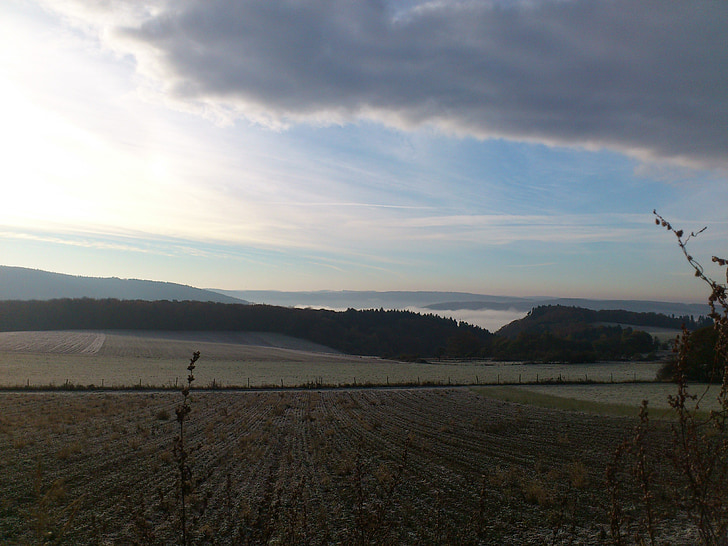 solen, himmelen, korn, feltet, landskapet, Westerwald, Tyskland