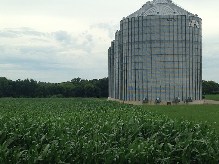 cereale bin, Iowa, bin, cereale, agricultura, Utilaje agricole, Midwest