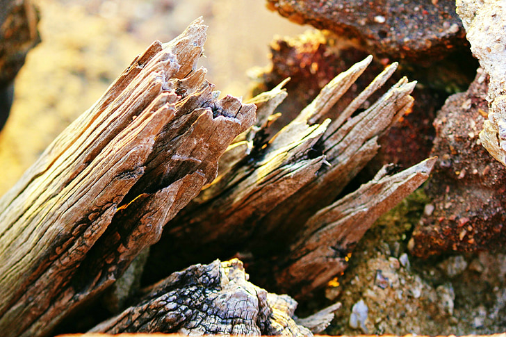 Driftwood, fa, régi, viharvert, fa, durva, rusztikus