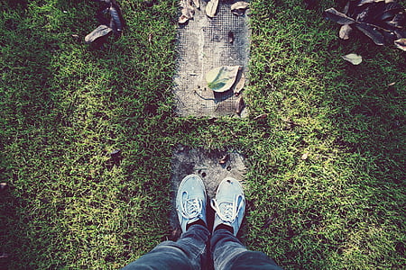 обувки, трева, листа, обувки, маратонки, микробуси, ниска раздел