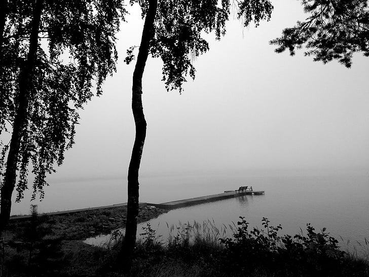 езеро, мъгла, партньорска, вода, пейзаж, мъгла, сутрин