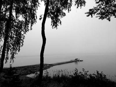 lake, fog, peer, water, landscape, mist, morning