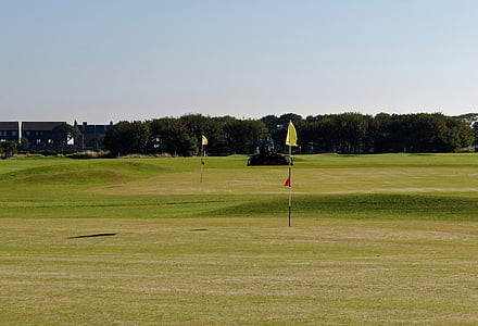 golf flags, green, golf, course, flag, sport, grass