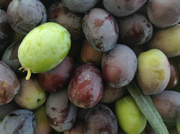 Оливки й маслини, свіжі, овочі, продукти харчування, фрукти, свіжість, органічні