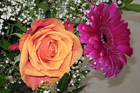 rose, birthday bouquet, gypsophila, gerbera, blossom, bloom, flower