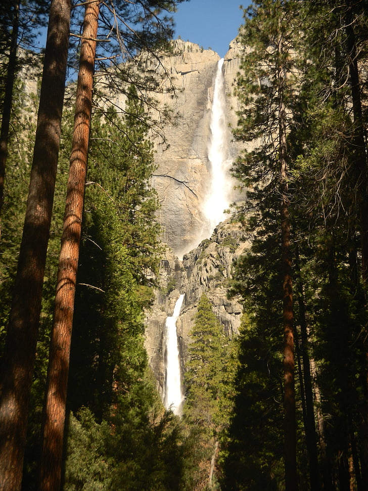 Cachoeira, sequoias, árvores de pau-Brasil, Sequoia, montanha, árvores, alto
