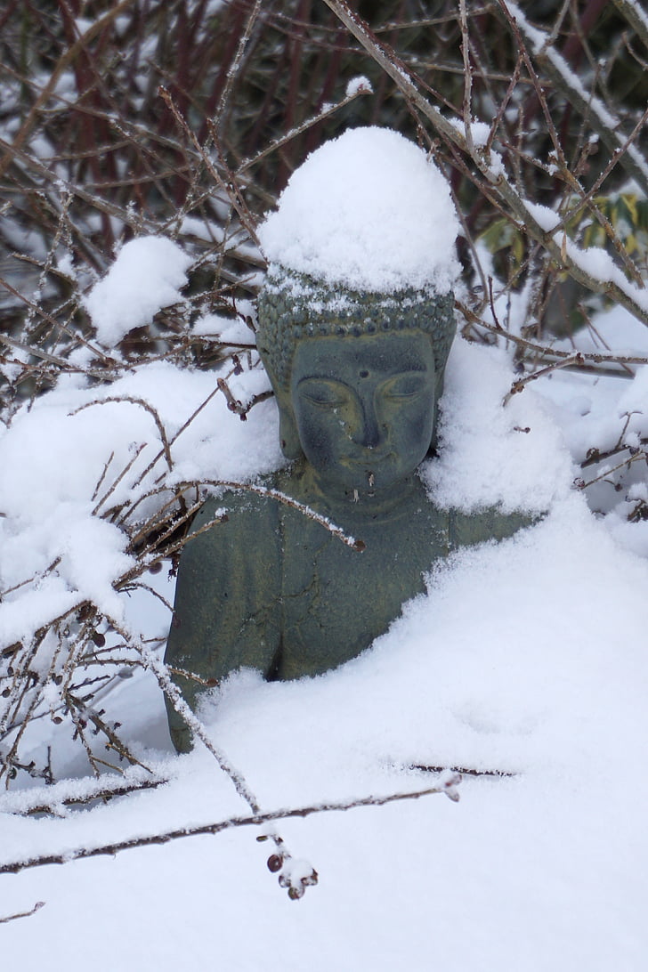 Buddha, sne, vinter, haven, vinterlige, natur, harmoni