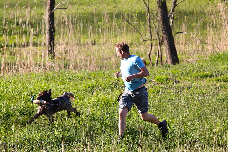 草原, 人間, 犬, 取得, プラスチック製アヒル, 犬の訓練