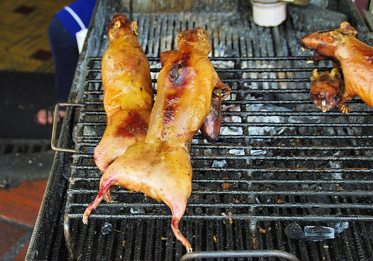 guinea pigs, grilling, meat