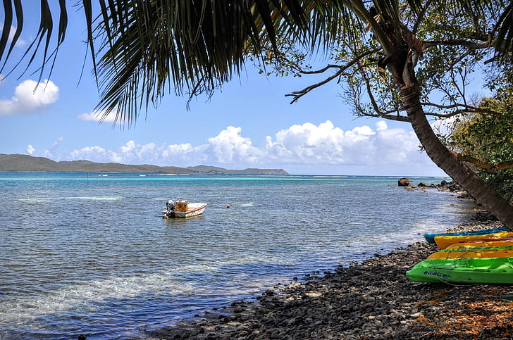 Martinique, Travel, päike, maastik, kookospähkli, kanuu, Kariibi mere saared