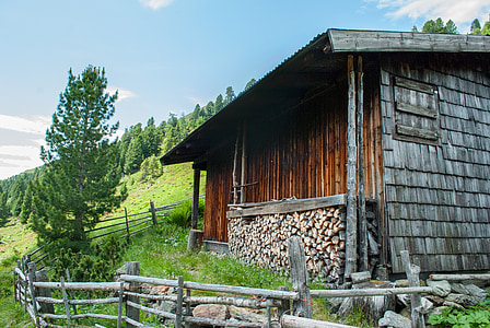 hut, summer, mountains, alm, alpine hut, holzstapel, hiking