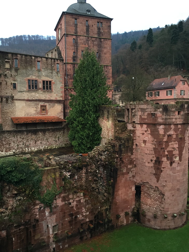 Heidelberg, Castle, Heidelberger schloss, linnus, Ajalooliselt, Baden Württembergi, lossi Vallikraavi