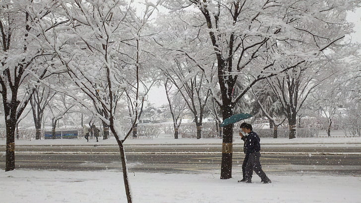 snow, road, street
