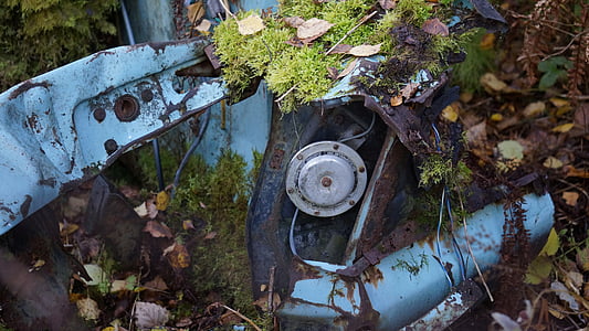 scrap metal, rusty, lorn, car, moss, in the woods, covered with