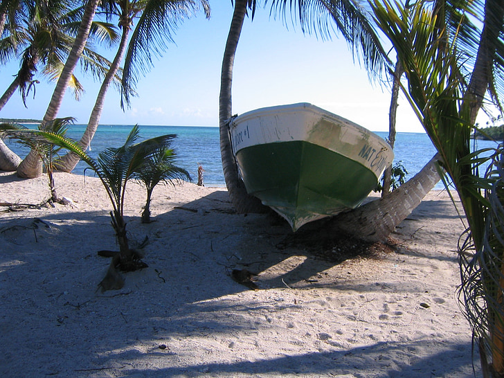 Mexico, zee, boot, palmbomen, roeiboot