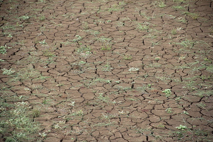 ξηρά, υπερθέρμανση του πλανήτη, αφυδατωμένα, ξηρασία, το καλοκαίρι, ρωγμές, ραγισμένα