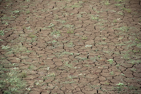 suché, globálne otepľovanie, dehydrované, sucha, letné, trhliny, popraskané