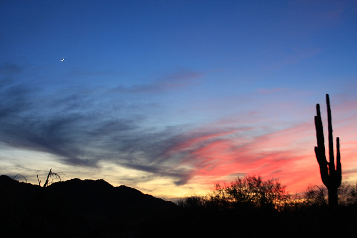 sunset, silhouette, desert, cactus, moon, sky, southwest