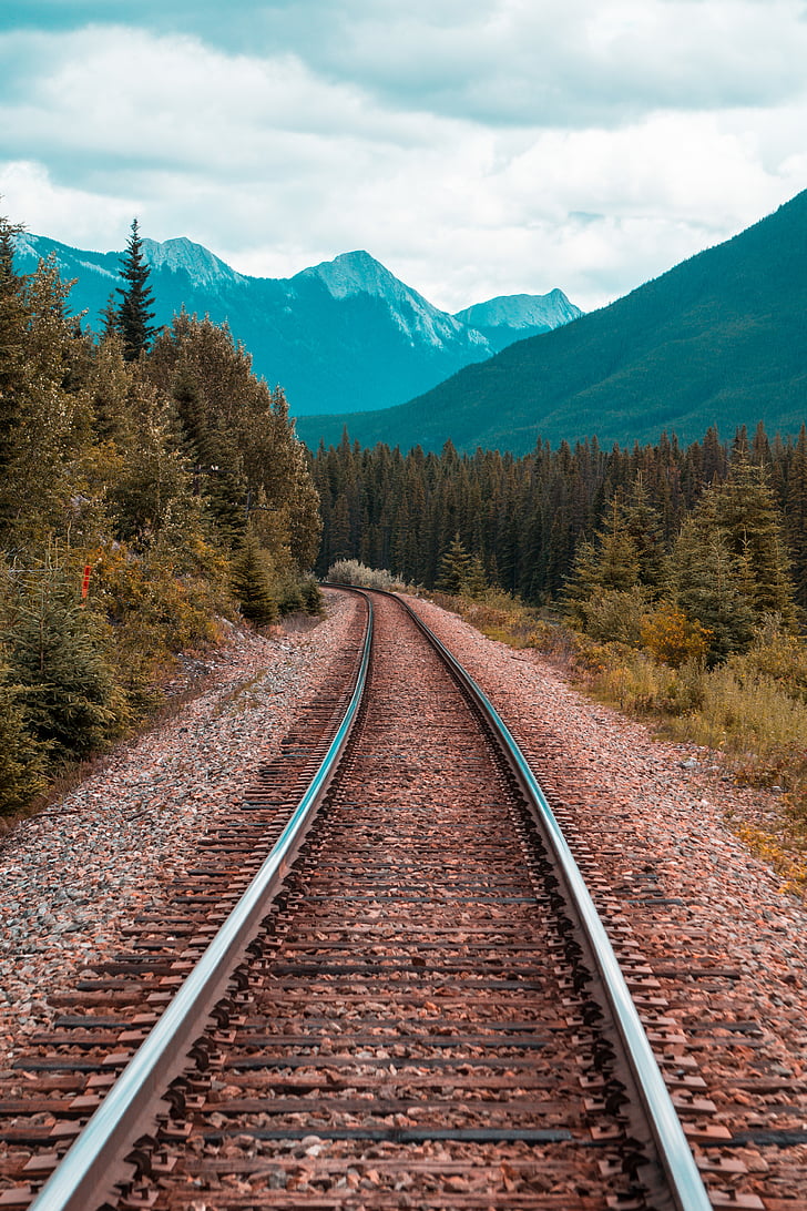 mountain, outdoors, perspective, railroad, railway, trees, woods