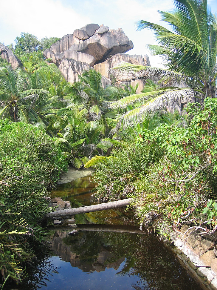 seychelles, channel, tropical, vegetation, landscape, tropics, rock
