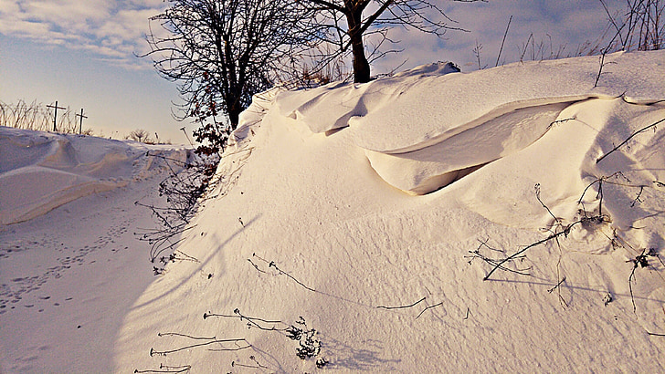Zima, snijeg, Poljska, priroda, Mraz, drvo, hladno