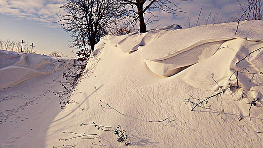 l'hivern, neu, Polònia, natura, gelades, arbre, fred