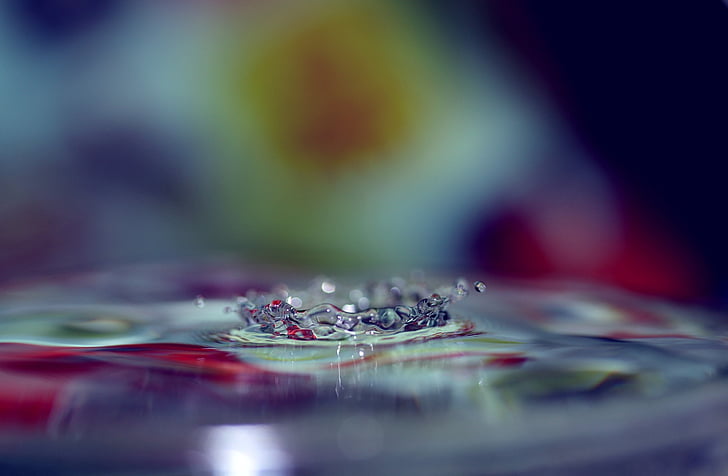 drops, water, macro, liquid, splash, close-up, abstract