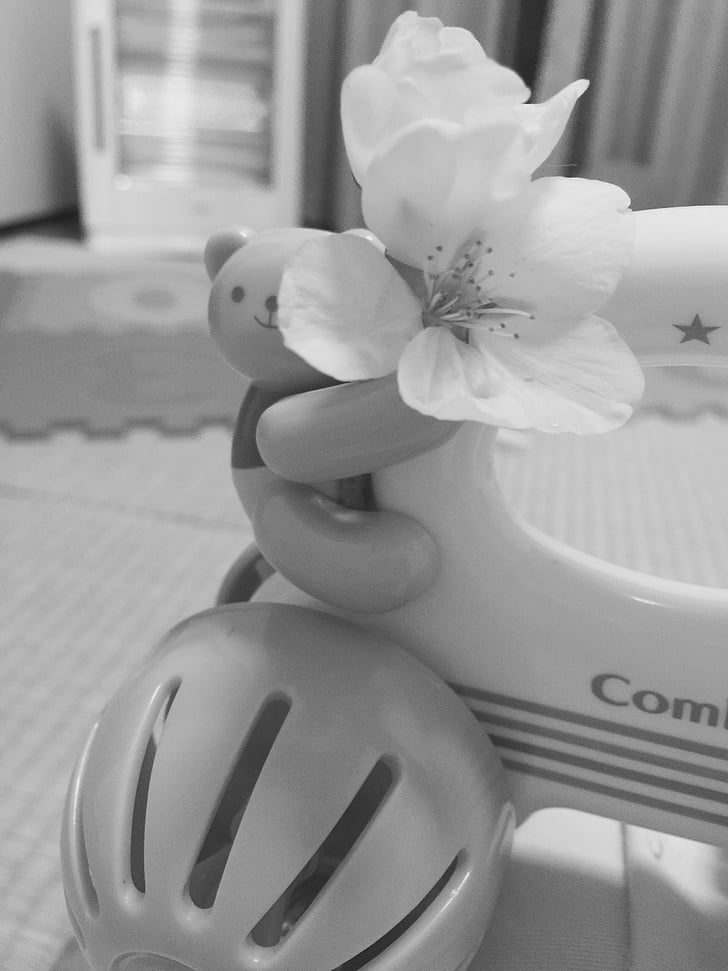 toy, flower, white