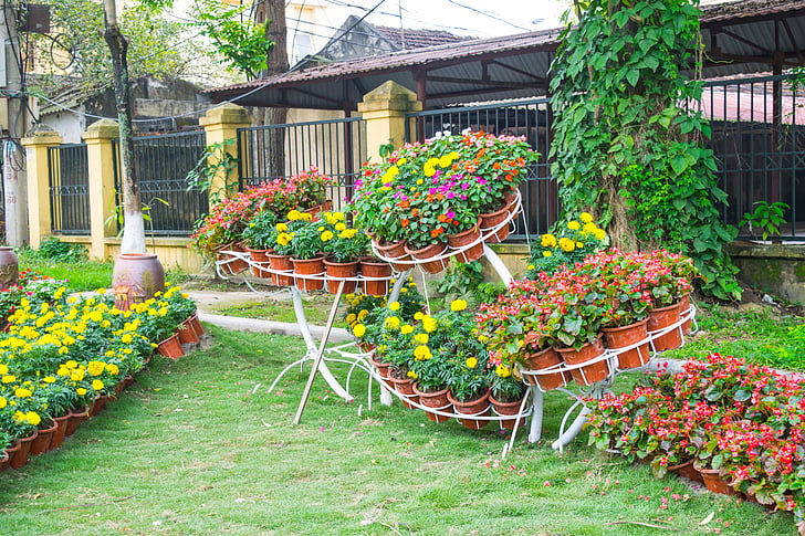 Градина, цвете, озеленяване, Тайланд, път, начин, Проектиран