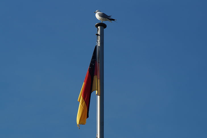Alemanha, Bandeira, vento, Flutter