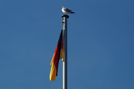 Allemagne, drapeau, vent, vibrations aéroélastiques