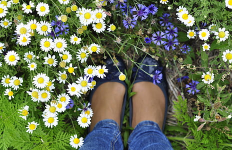 lente, bloemen, voeten, schoen, veld, natuur, bloem