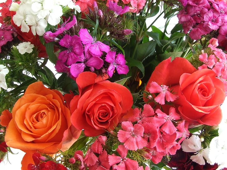 Rose, fiori, Rose arancioni, bouquet