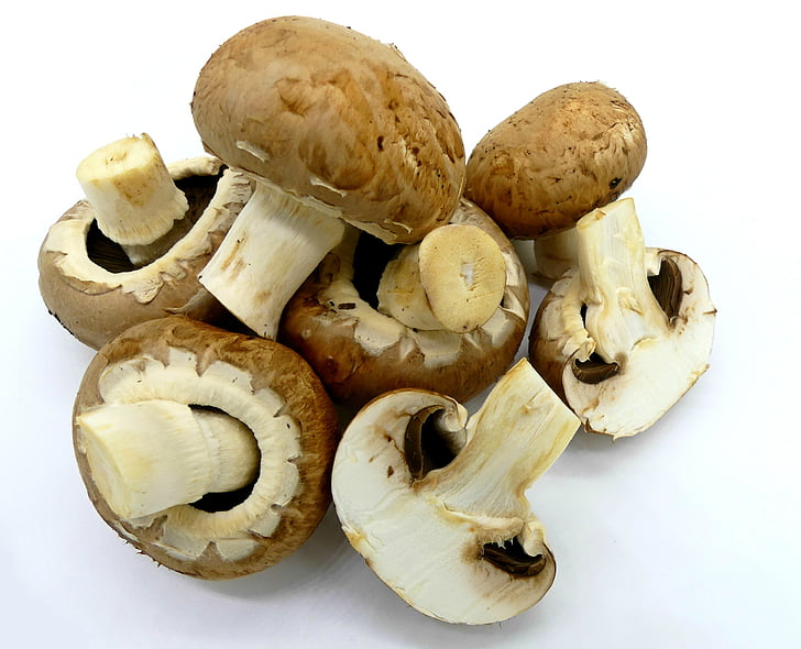 mushrooms, brown mushrooms, food, edible, eat, pleasure, feed