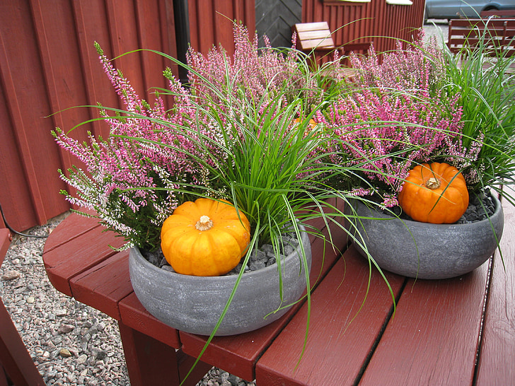 autumn arrangement, pumpkins, seedlings, grass, heather, house, colors