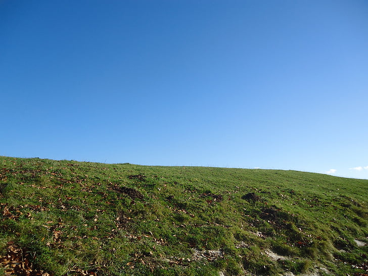 turó, part superior, herba, Cimera, cel, blau, verd
