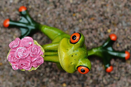 你说什么, 对不起, 青蛙, 甜, 可爱, 有趣, 花