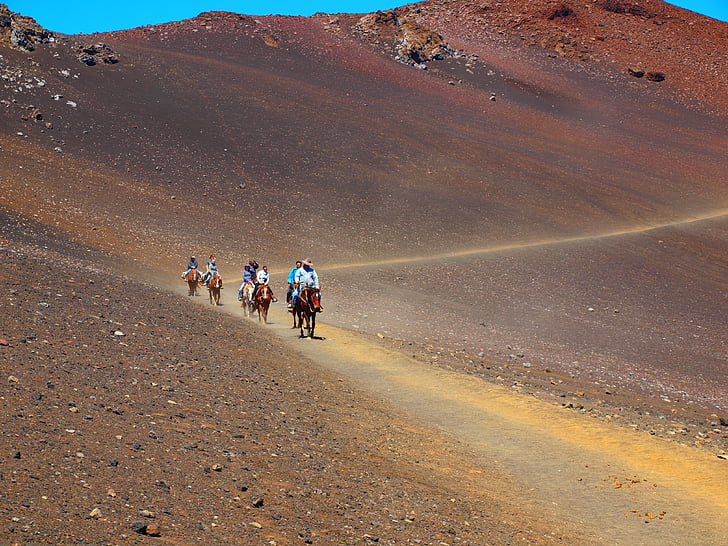 hawaii, maui, volcano, crater, horses