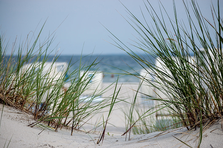 beach, dune, dunes, dune grass, grass, sand, sea