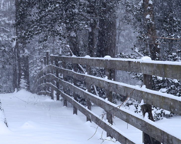 winter, snow, landscape, cold, season, outdoor, fence