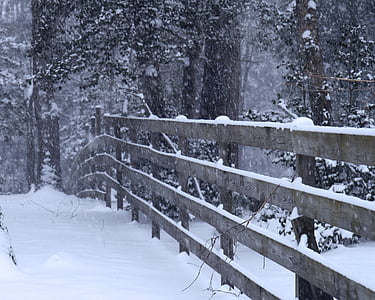 vinter, snö, landskap, kalla, säsong, Utomhus, staket
