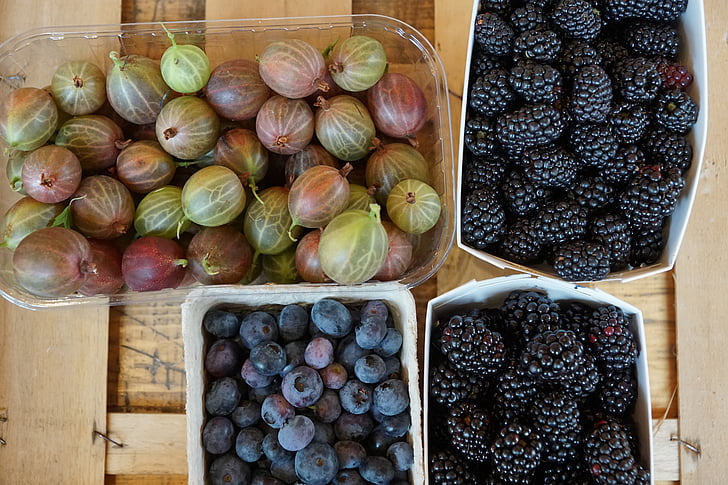 gooseberries, berries, healthy, delicious, fruit, eat, food