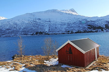 landschap, mooie, hemel, zee, fjord, sneeuw, berg